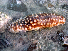 image001.png