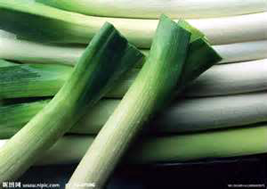 image013.png