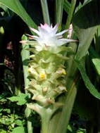 image017.png