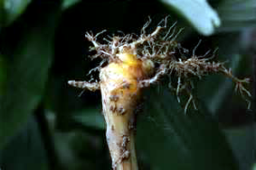 image021.png