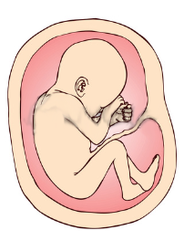 image025.png